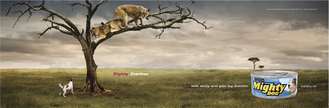 Mighty Dog campaign visual 4