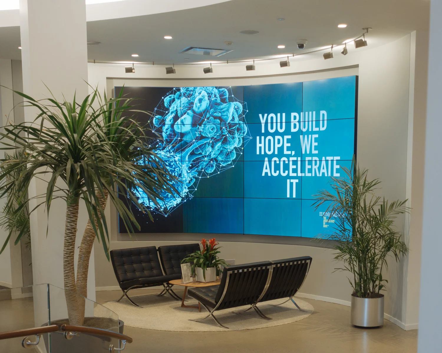 Medidata campaign visual 10