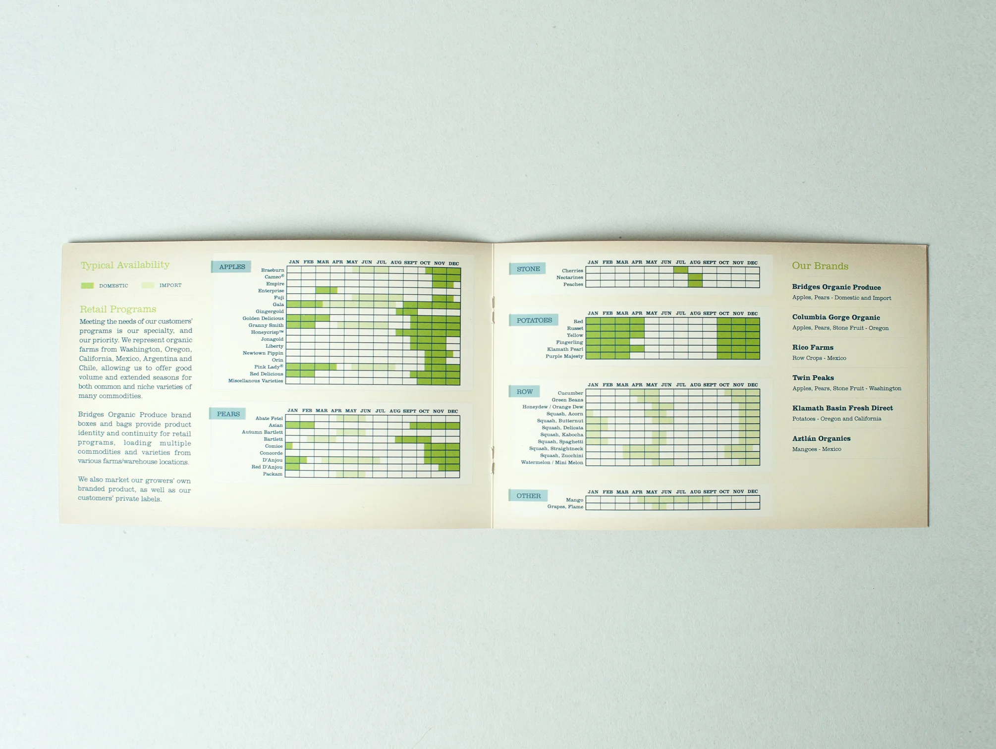 Design, direction and copywriting by Jessica Raley while employed at Blind Renaissance