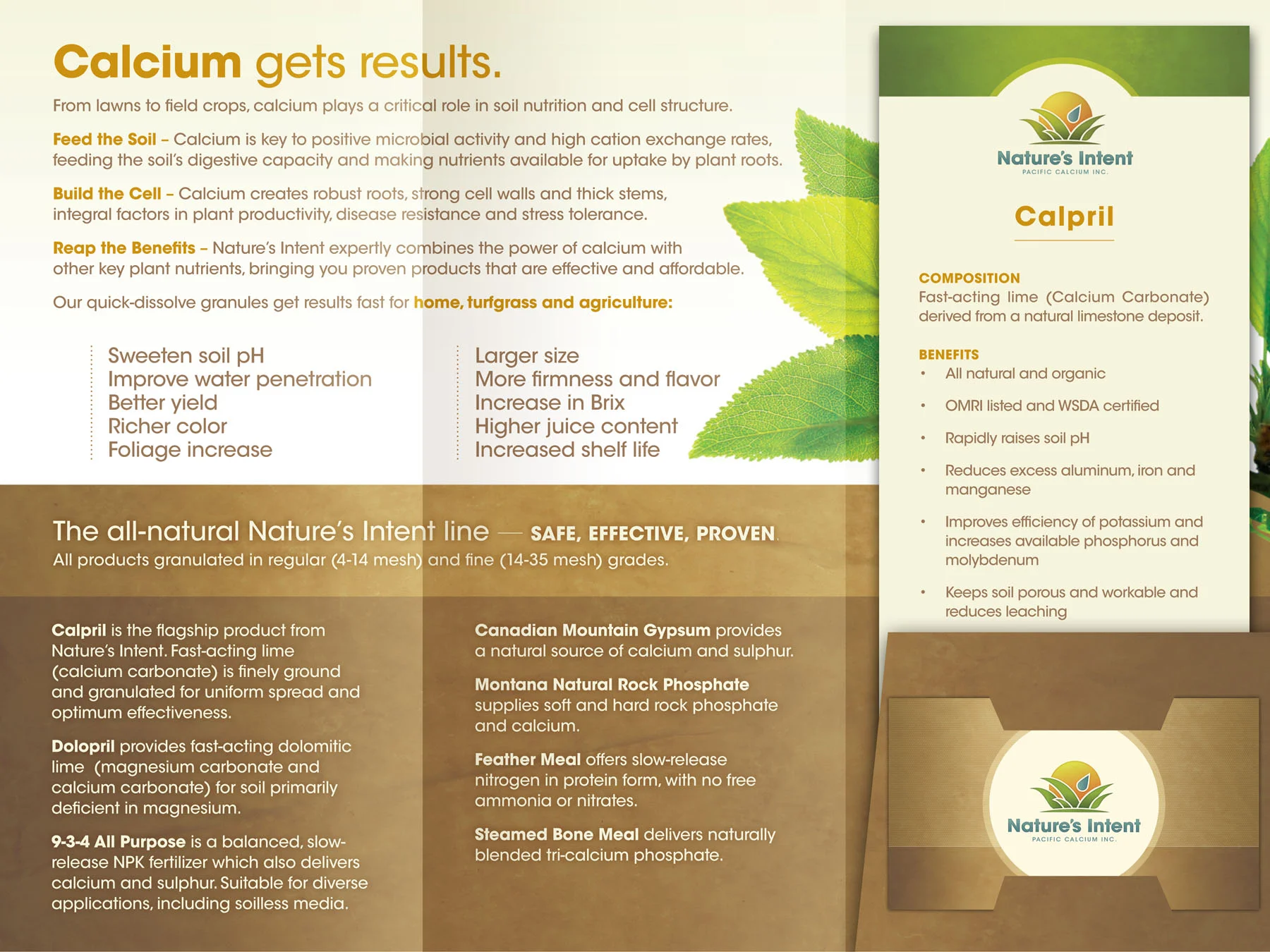 Branding, brochure direction/design and copywriting.