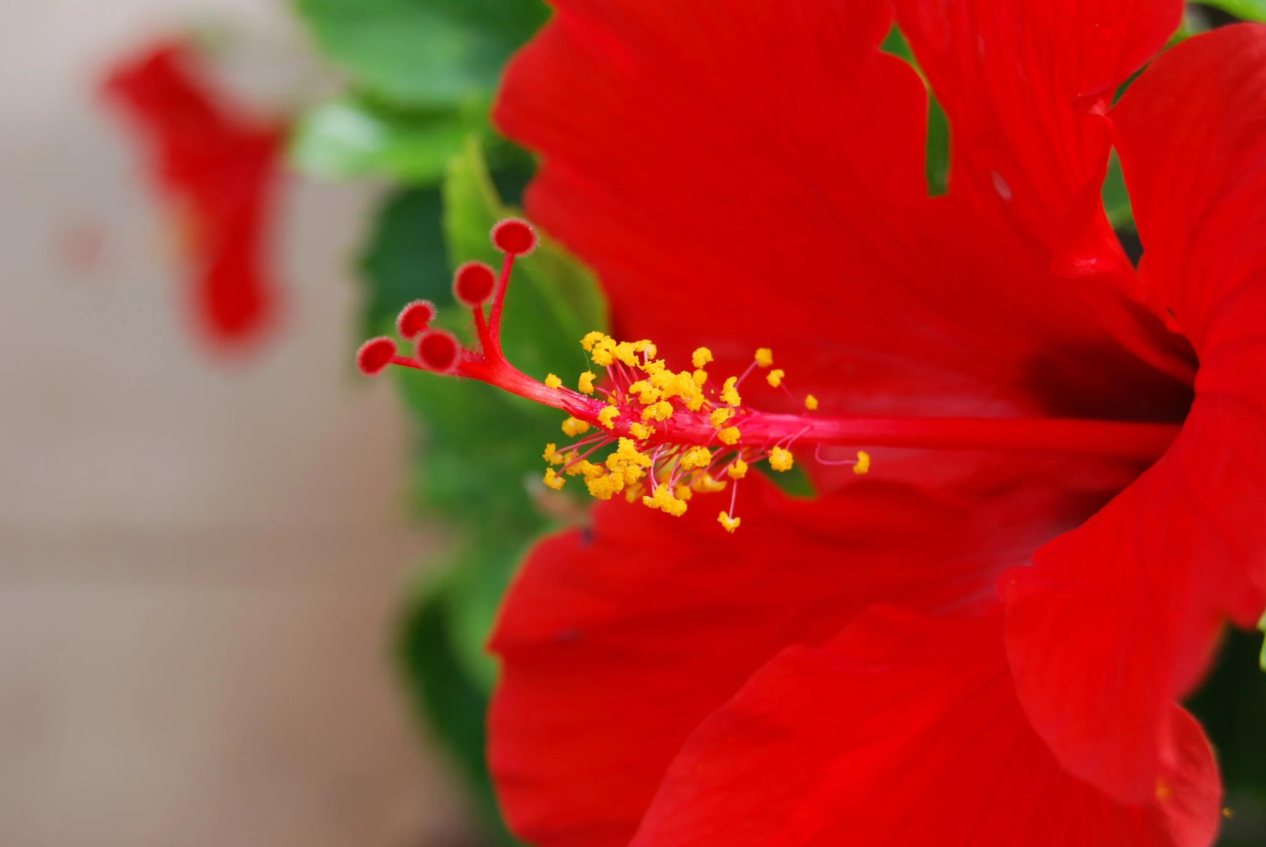 DSC_0072.JPG