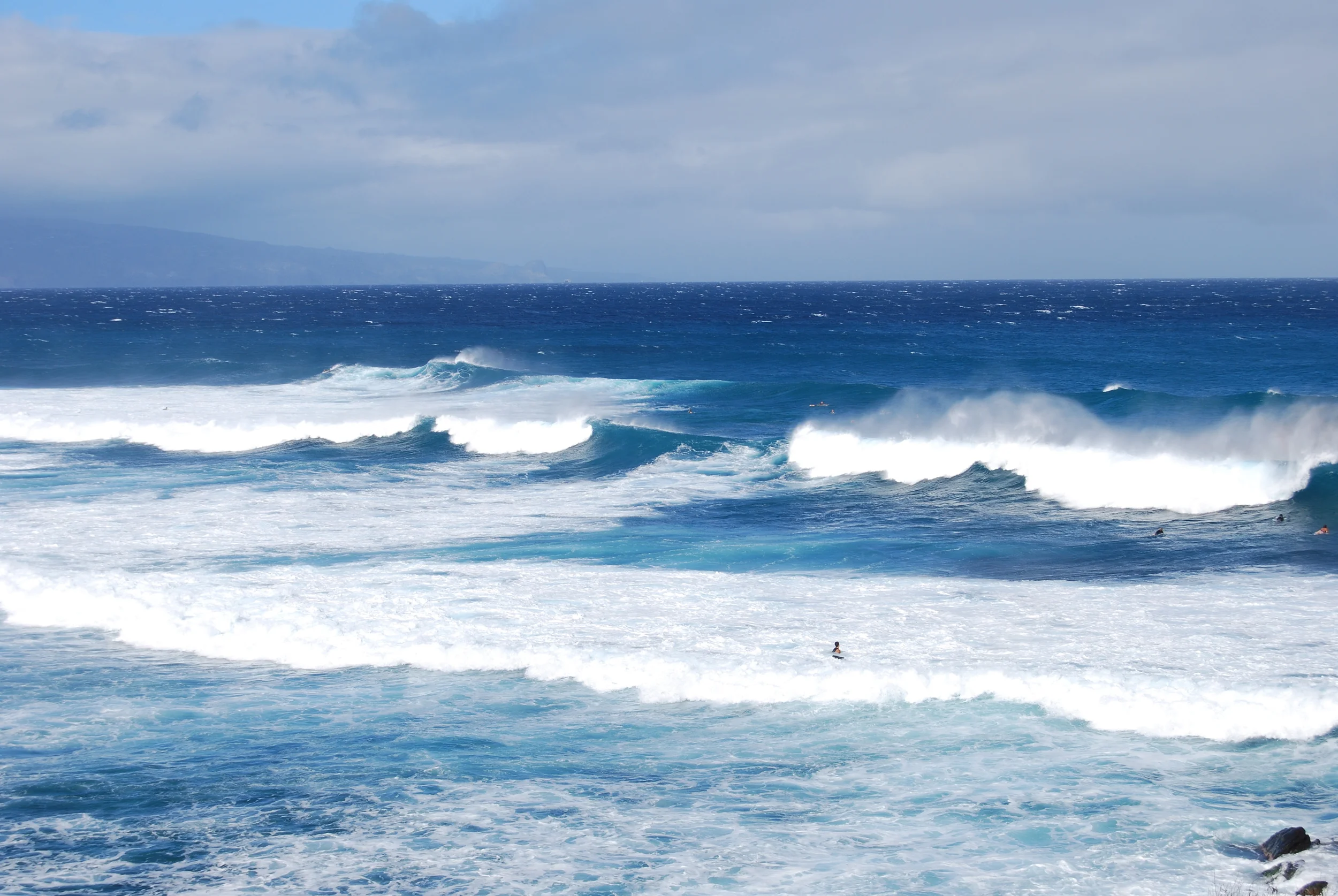 DSC_0103.JPG
