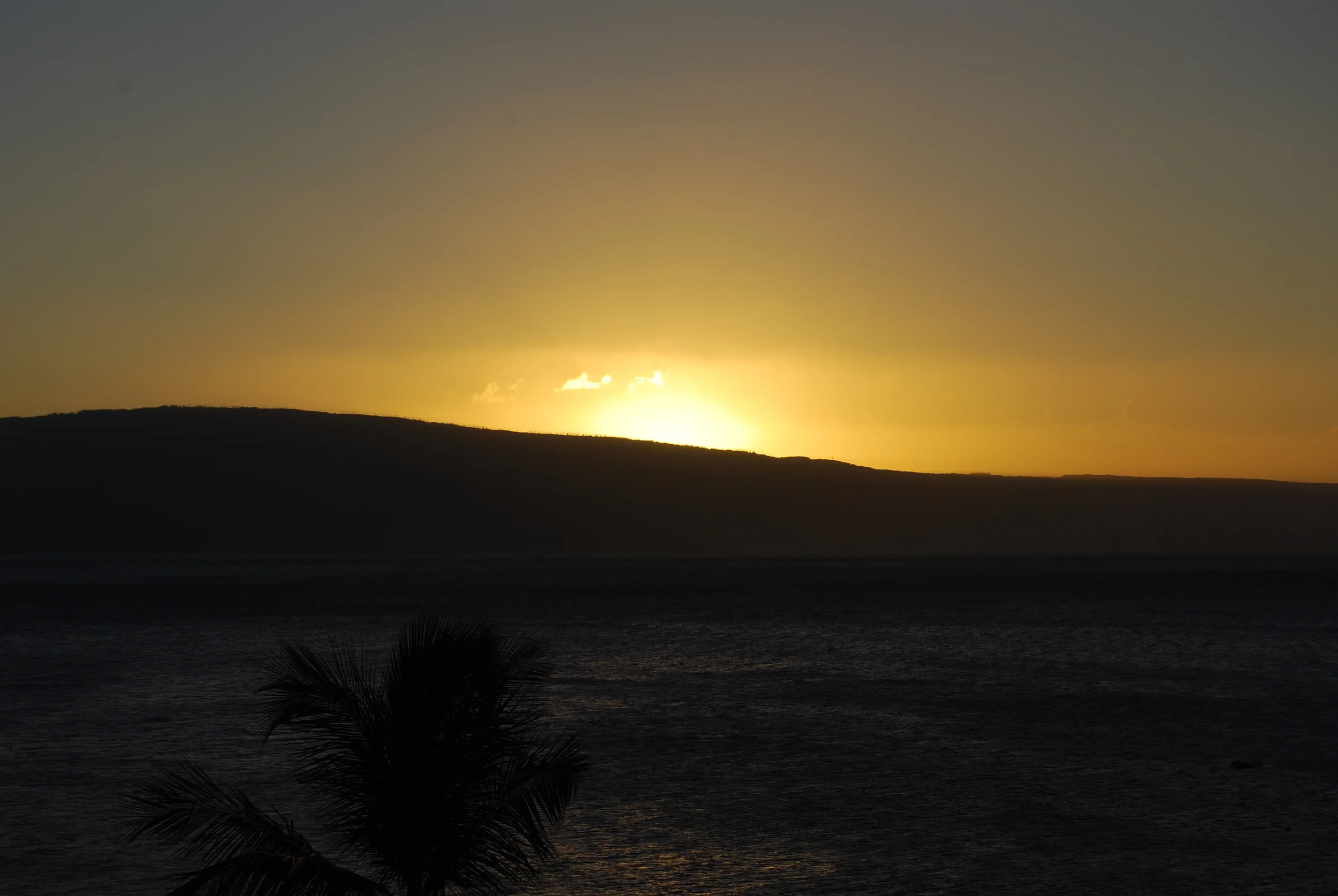 DSC_0250.JPG