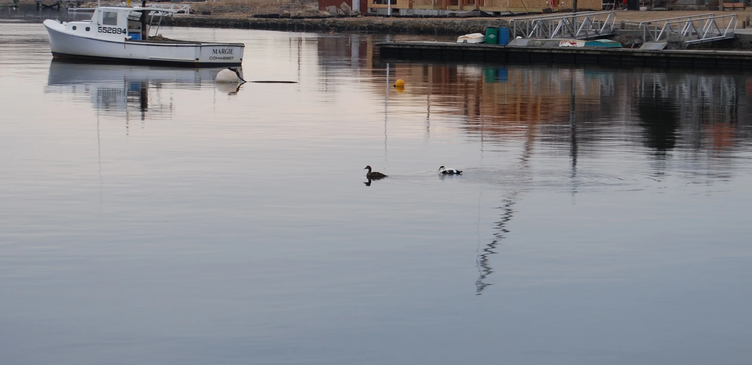 DSC_0283.JPG