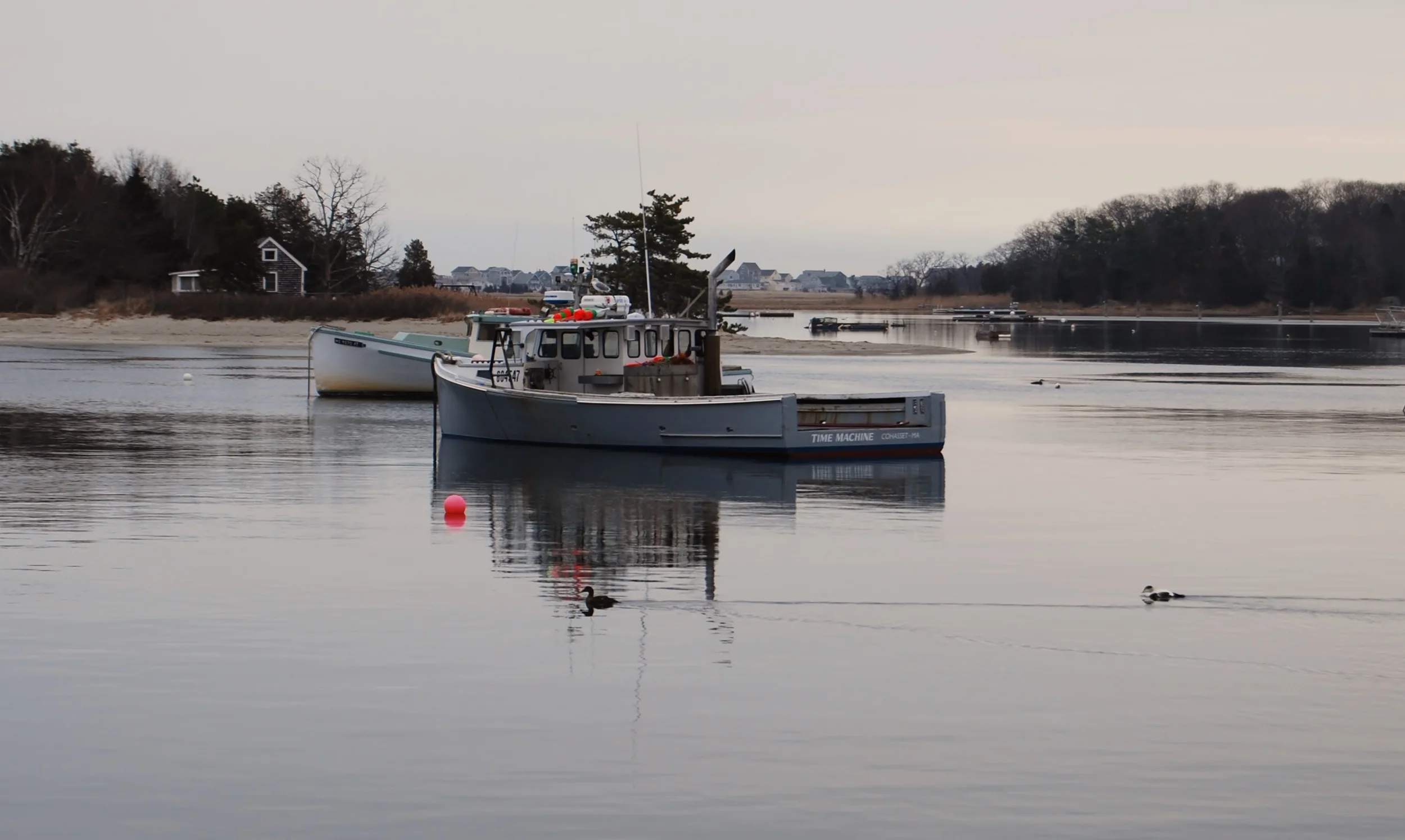 DSC_0285.JPG