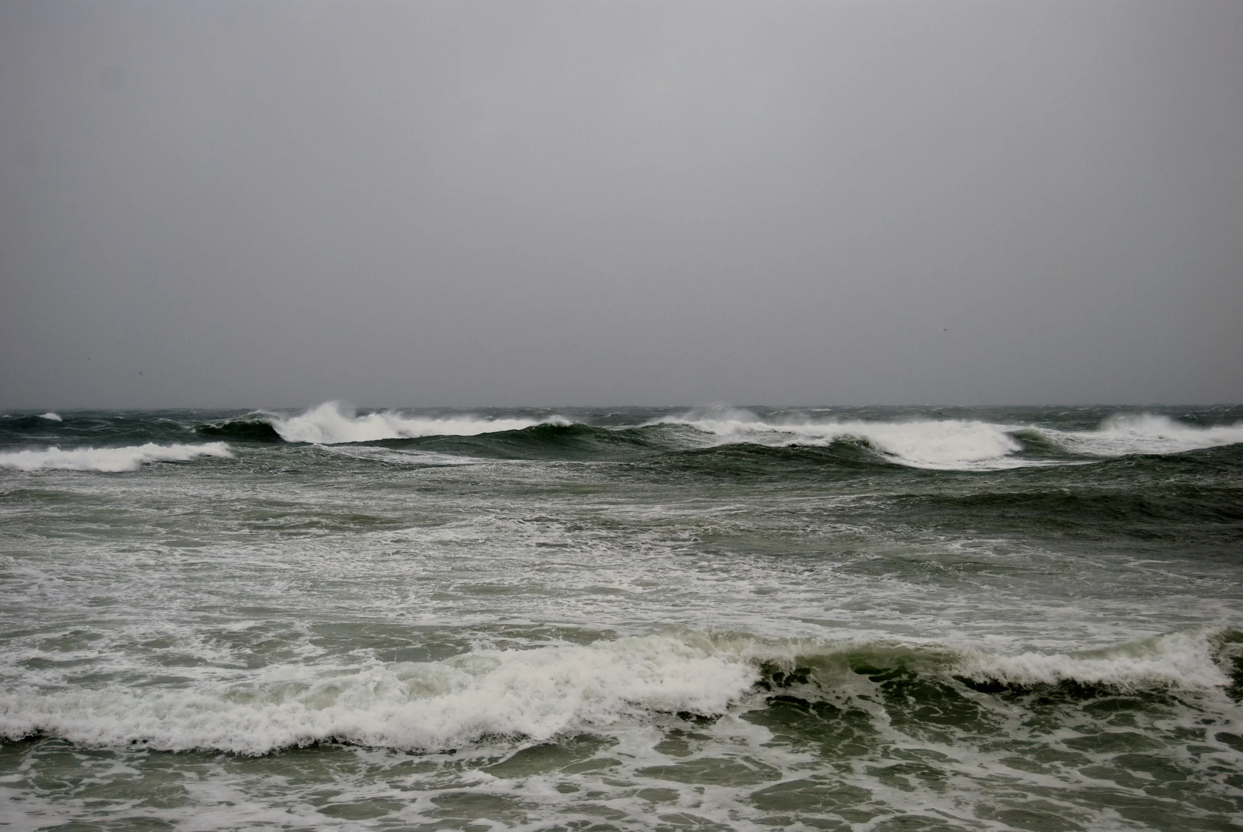 DSC_0300.JPG