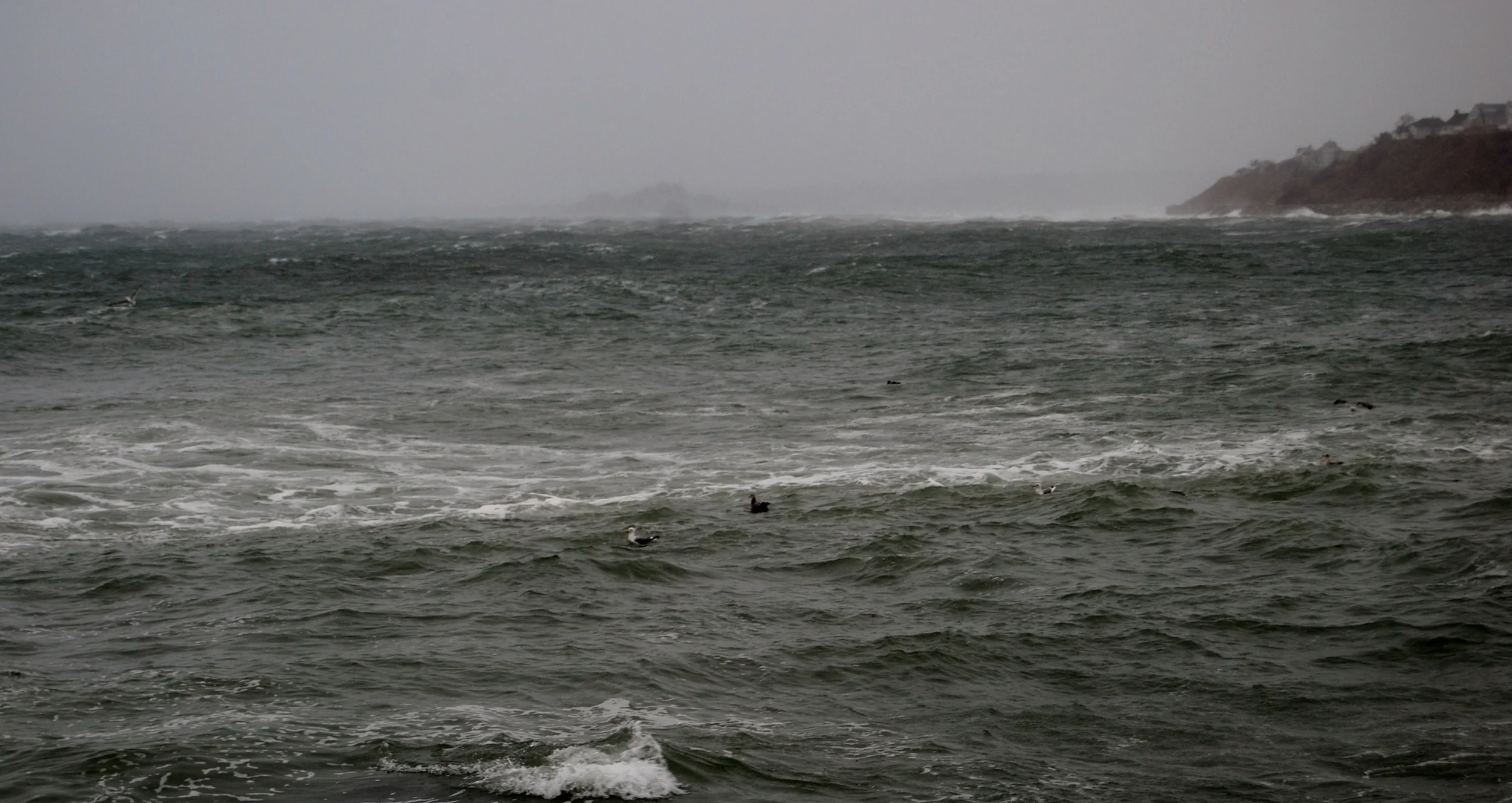 DSC_0305.JPG