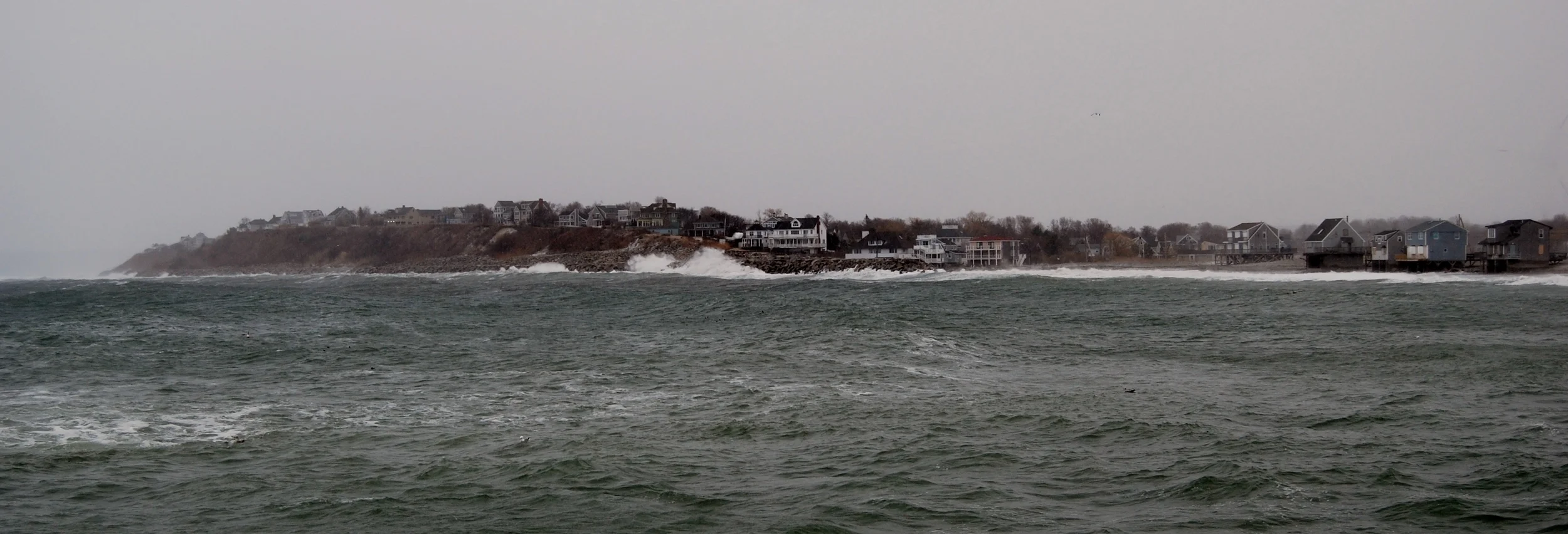 DSC_0306.JPG