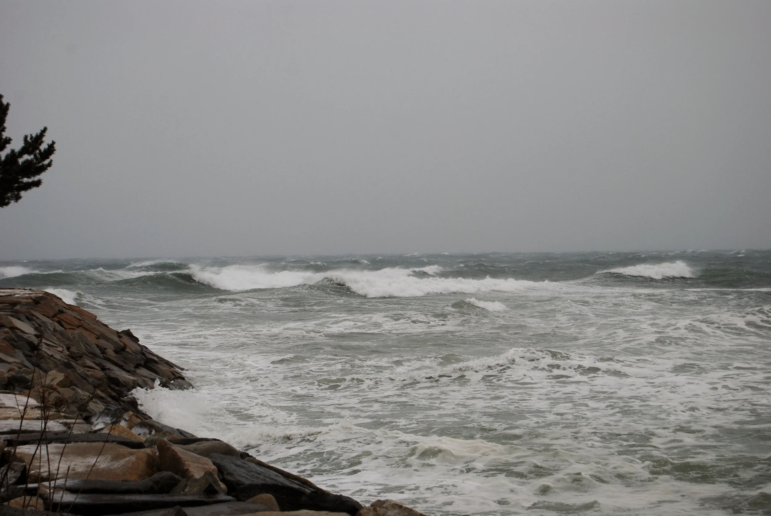 DSC_0307.JPG