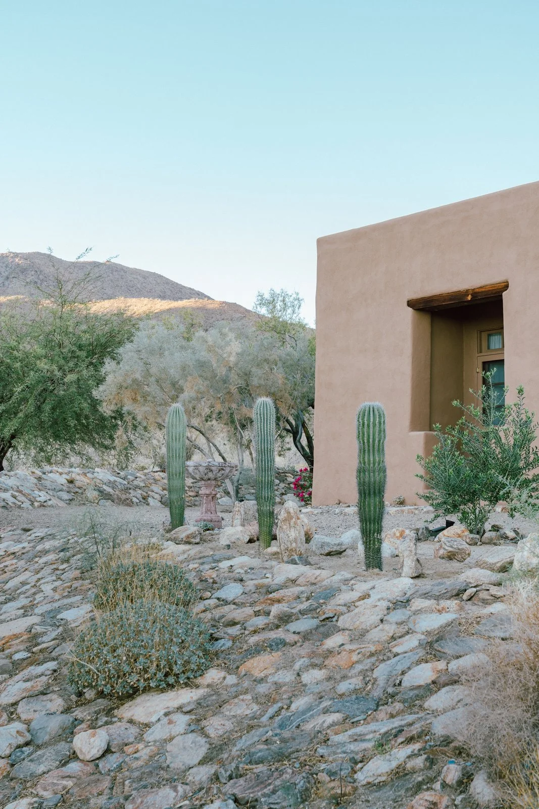 Outside, Young incorporated decomposed granite, native plant species, and large date palms. She moved a lot of rocks around to add to the natural desert feel she wanted for the property. (Tim Melideo)