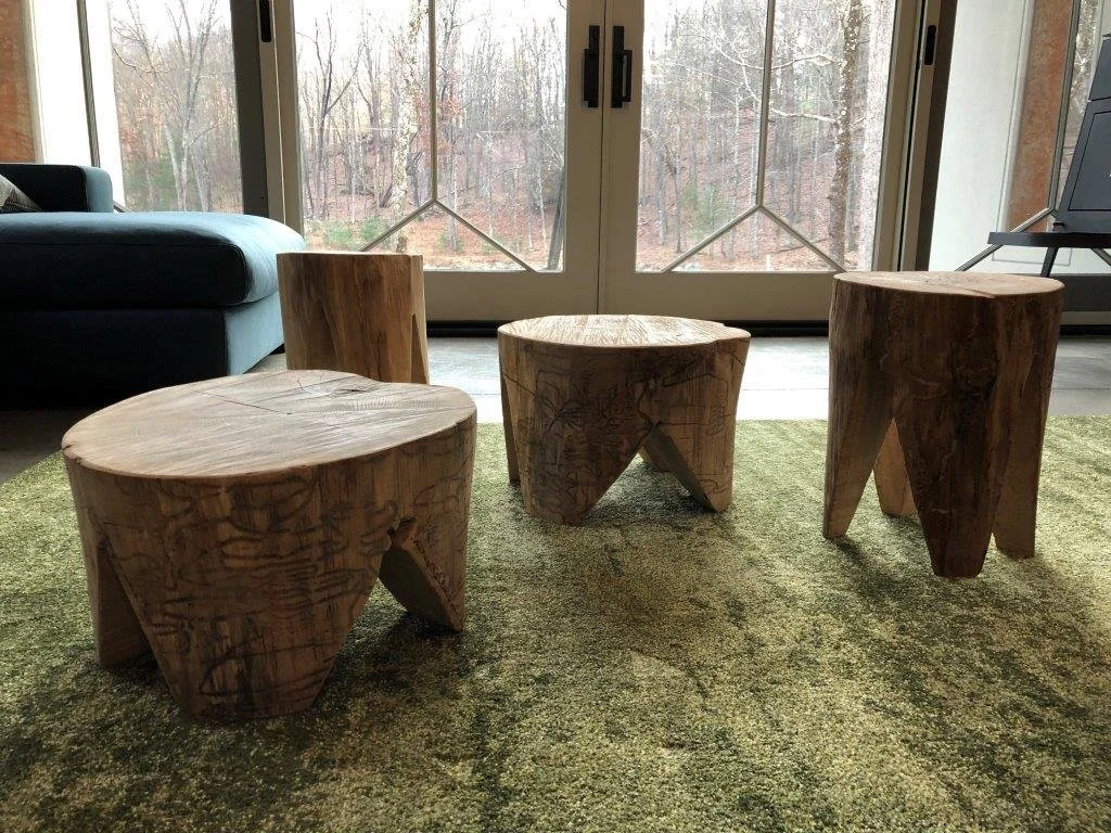 Stools made of fallen ash wood show the path of the emerald ash borers that claimed the trees. (Bjorg Magnea)