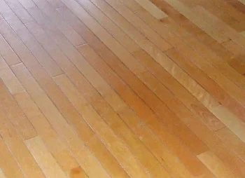 Gray lines along the edges of these boards are damage resulting from a steam mop cleaner.