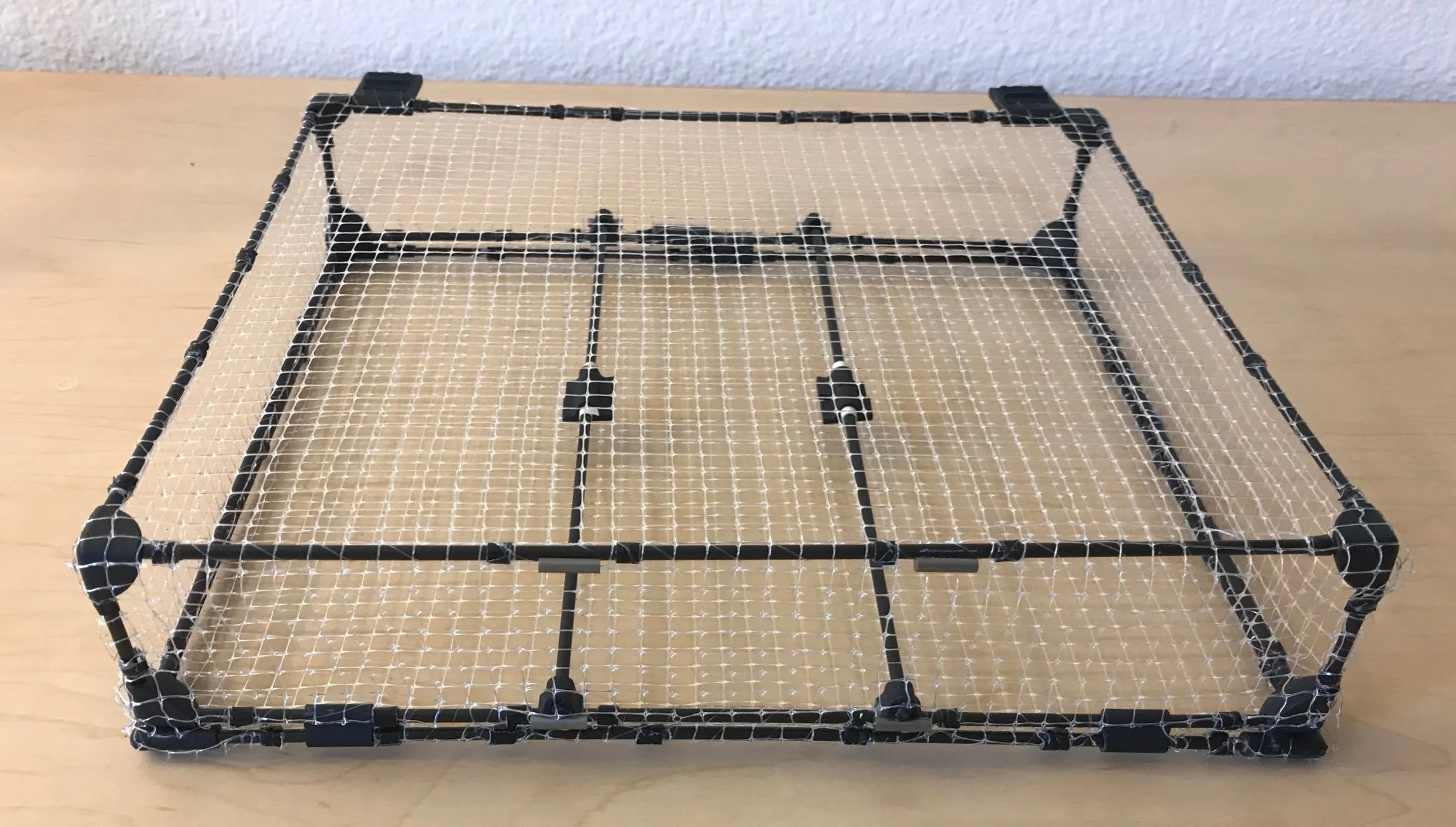 meshed.jpg