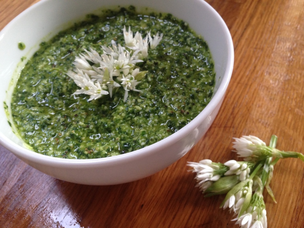 Wild Garlic Pesto