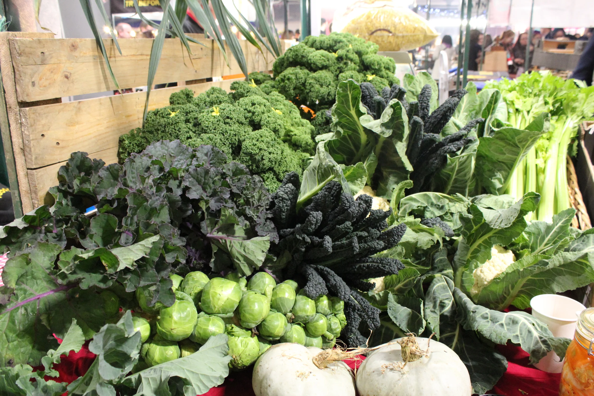 Green, leafy organic veggies