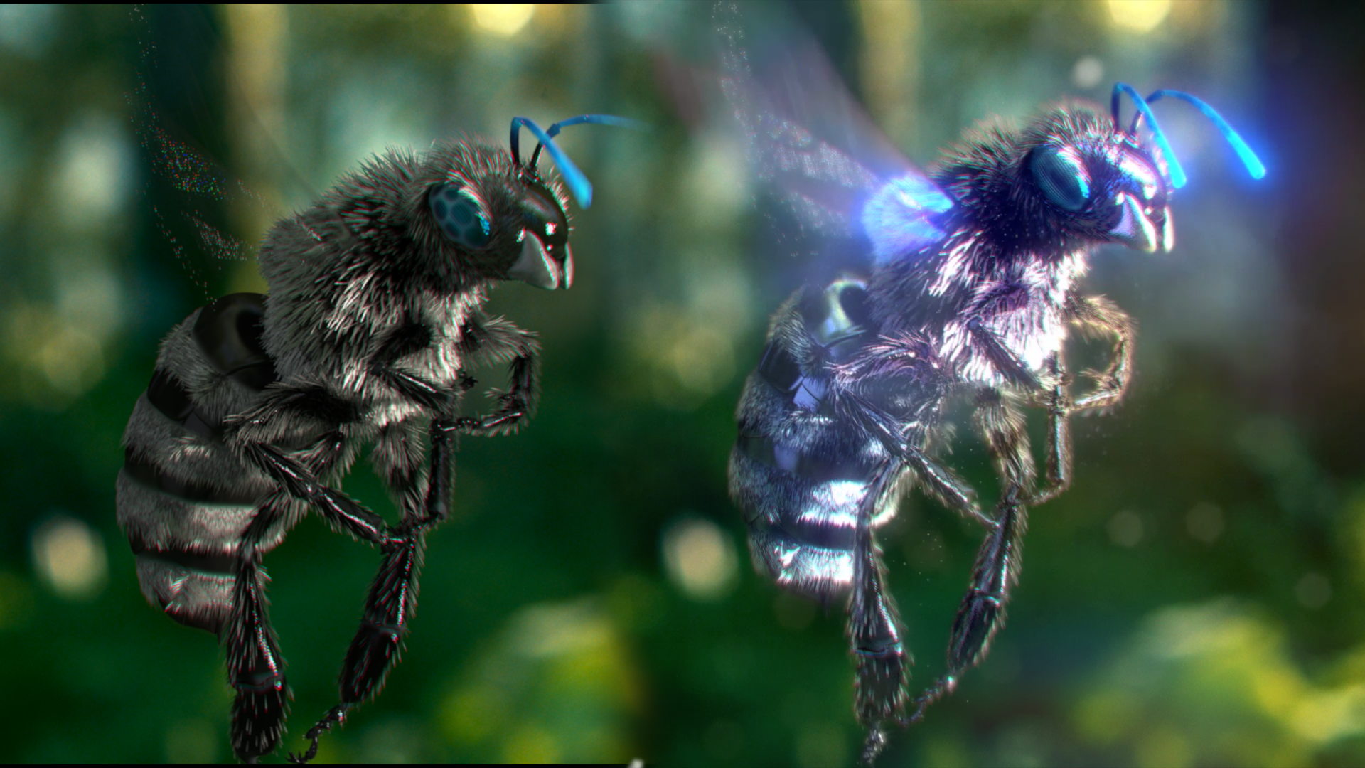 beecomp.8423.png