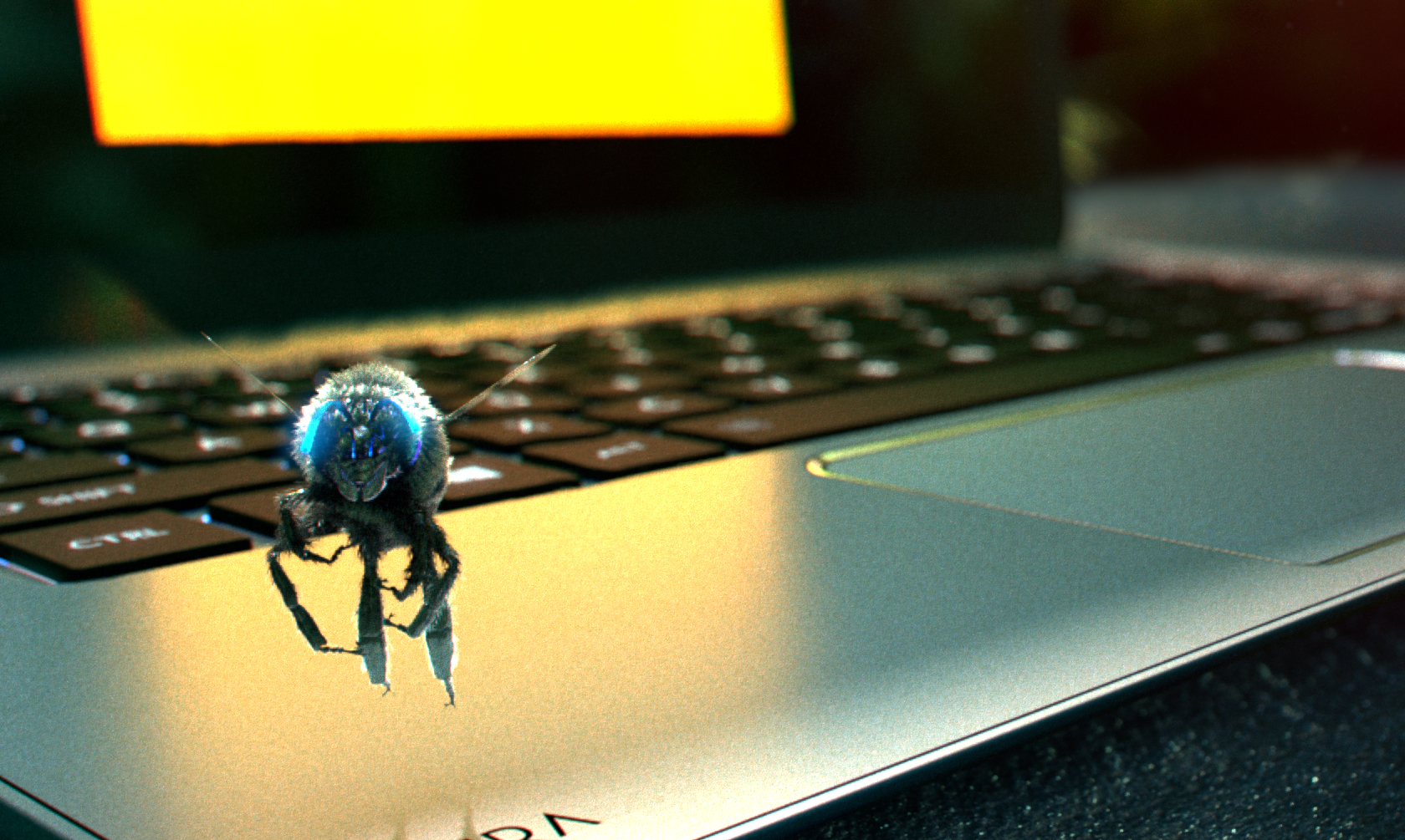 beesmall.001.png