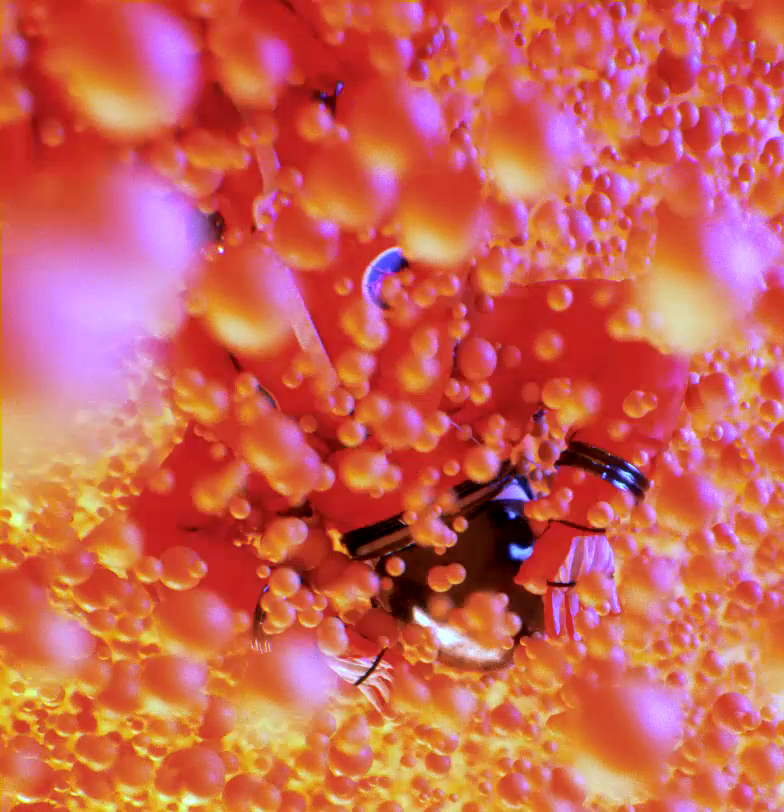 astrostill.043.png