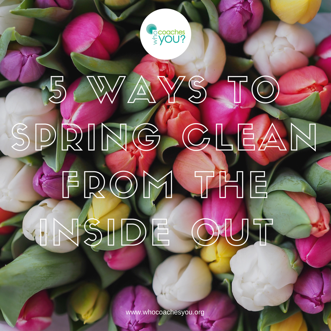 Spring Clean from the inside out.png