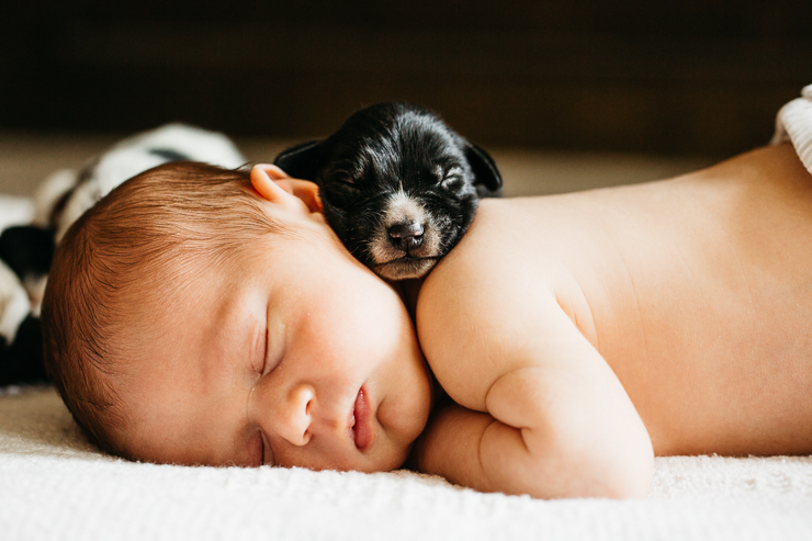 Newborn Baby Photography with puppies