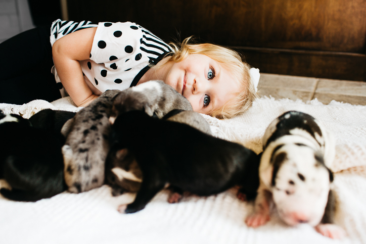 Little girl and puppies
