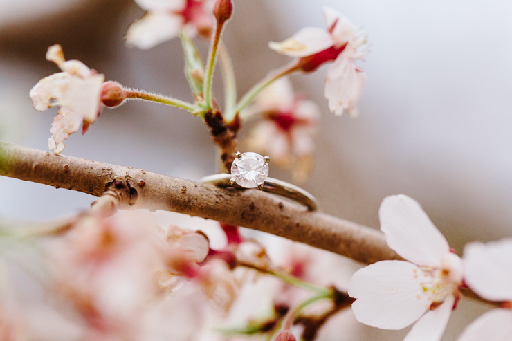 Engagement Ring on Spring Flowers in Peoria, Illinois