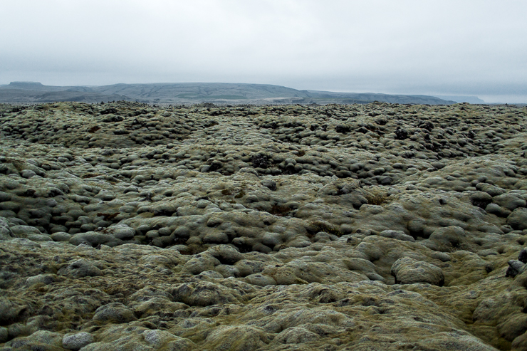 Volcanic aftermath with moss in southern Iceland