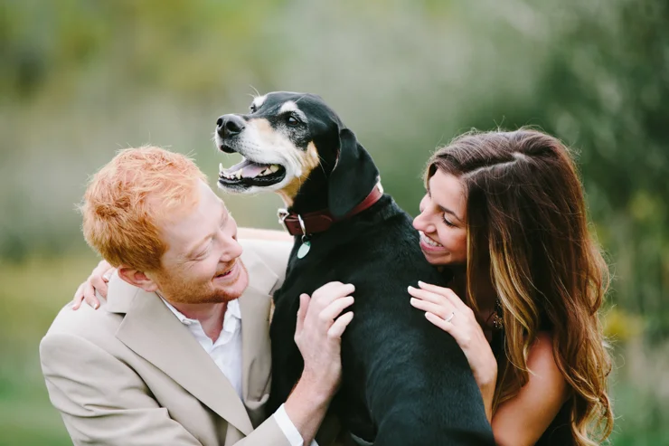 countryside engagement photos with their dog