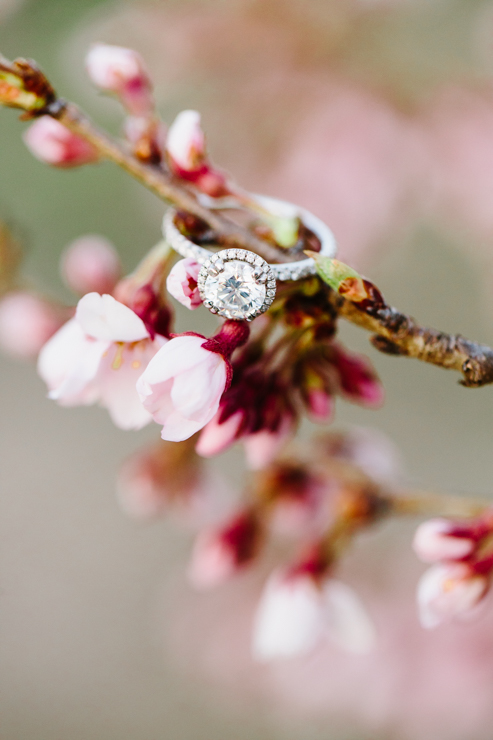 bremer jewelry diamond engagement ring detail photography 