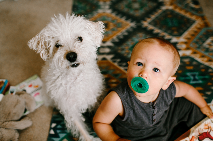 One year old baby boy and his puppy playing