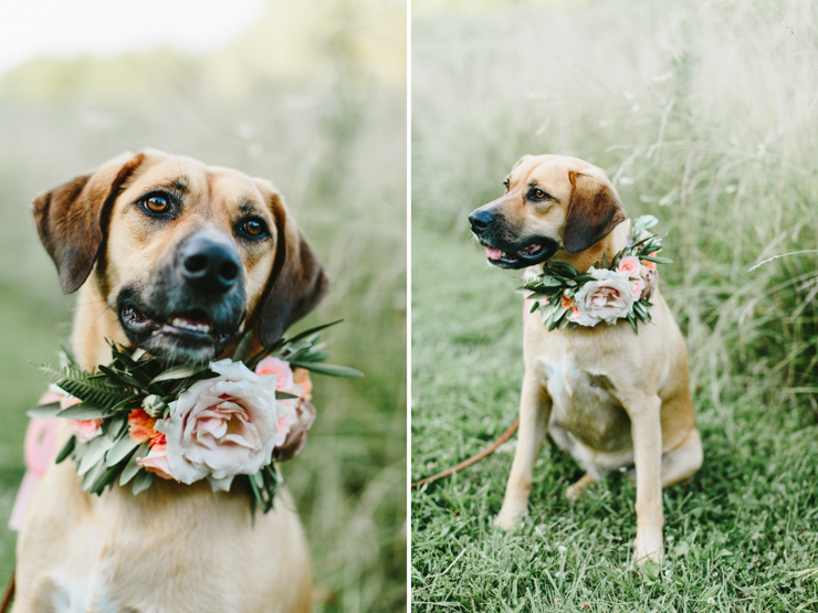 Couple brings their dog with flower crown to engagement session