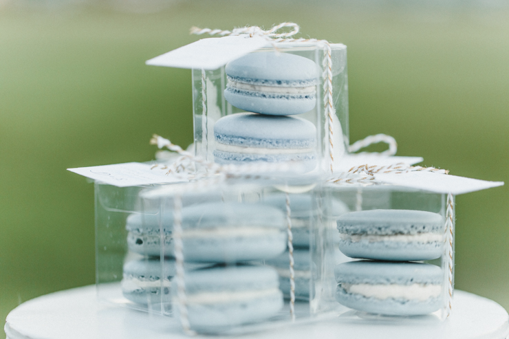 Wedding Reception macaroons as wedding party gifts