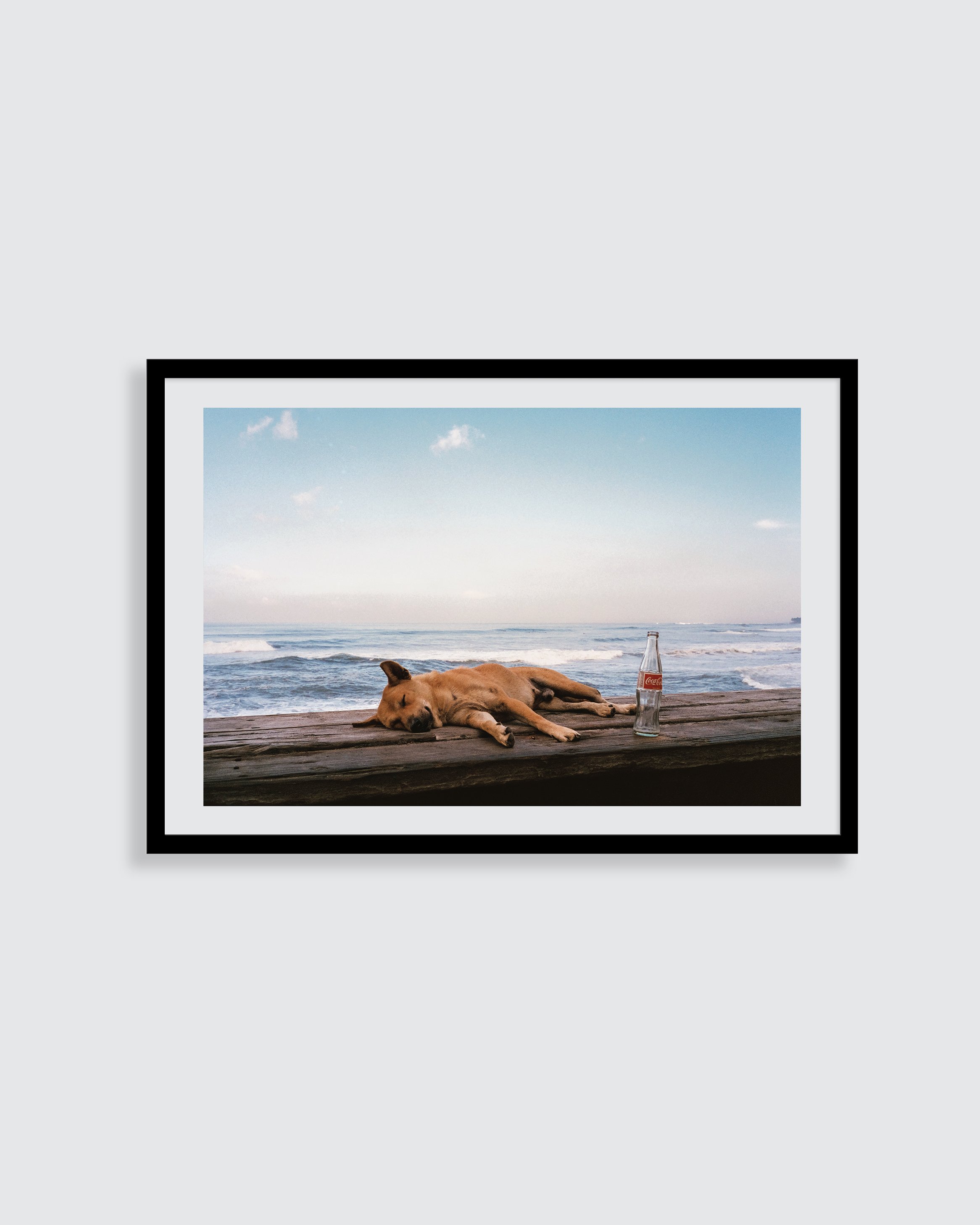 Dog sleeping art framed