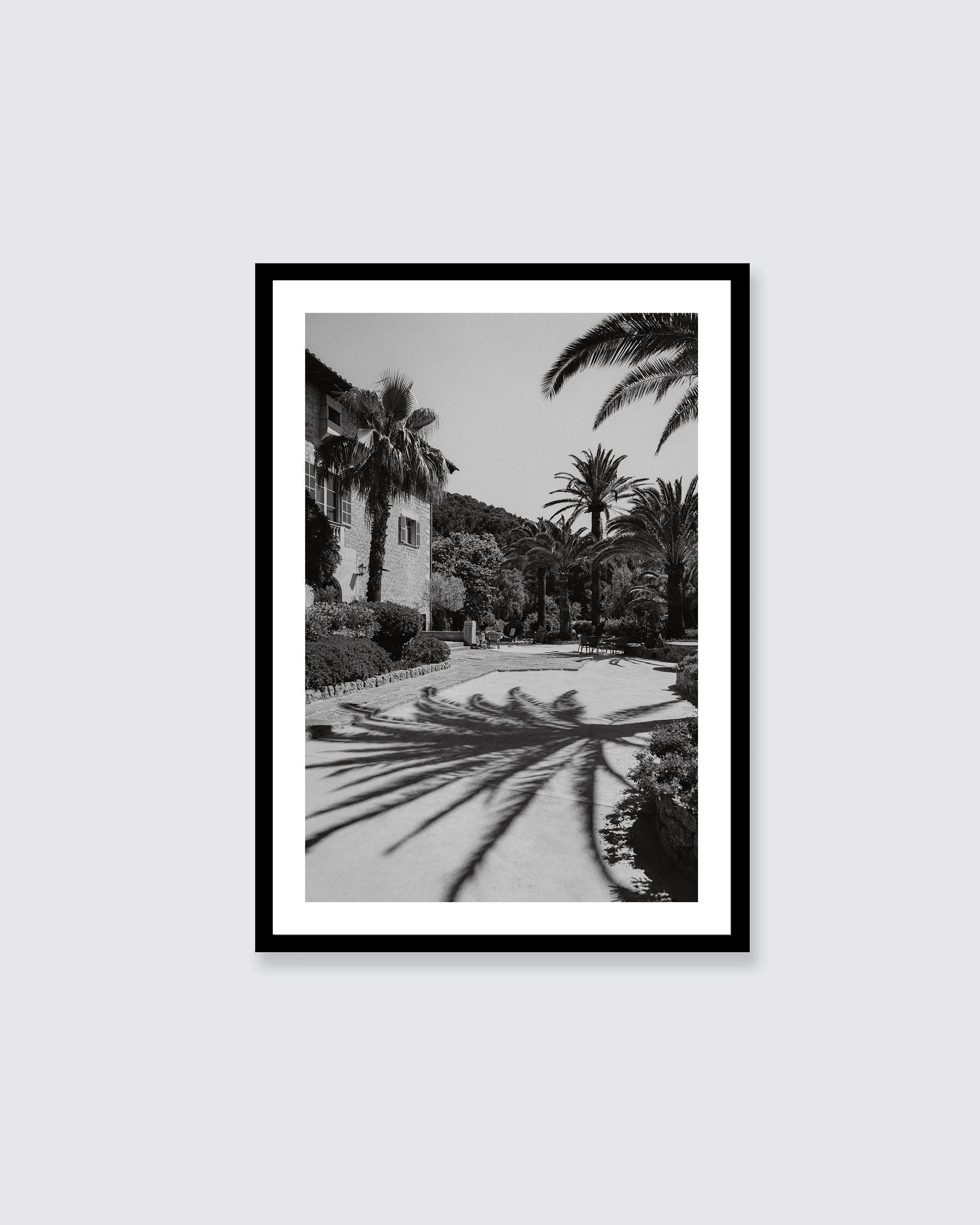 la-residencia-palm-trees
