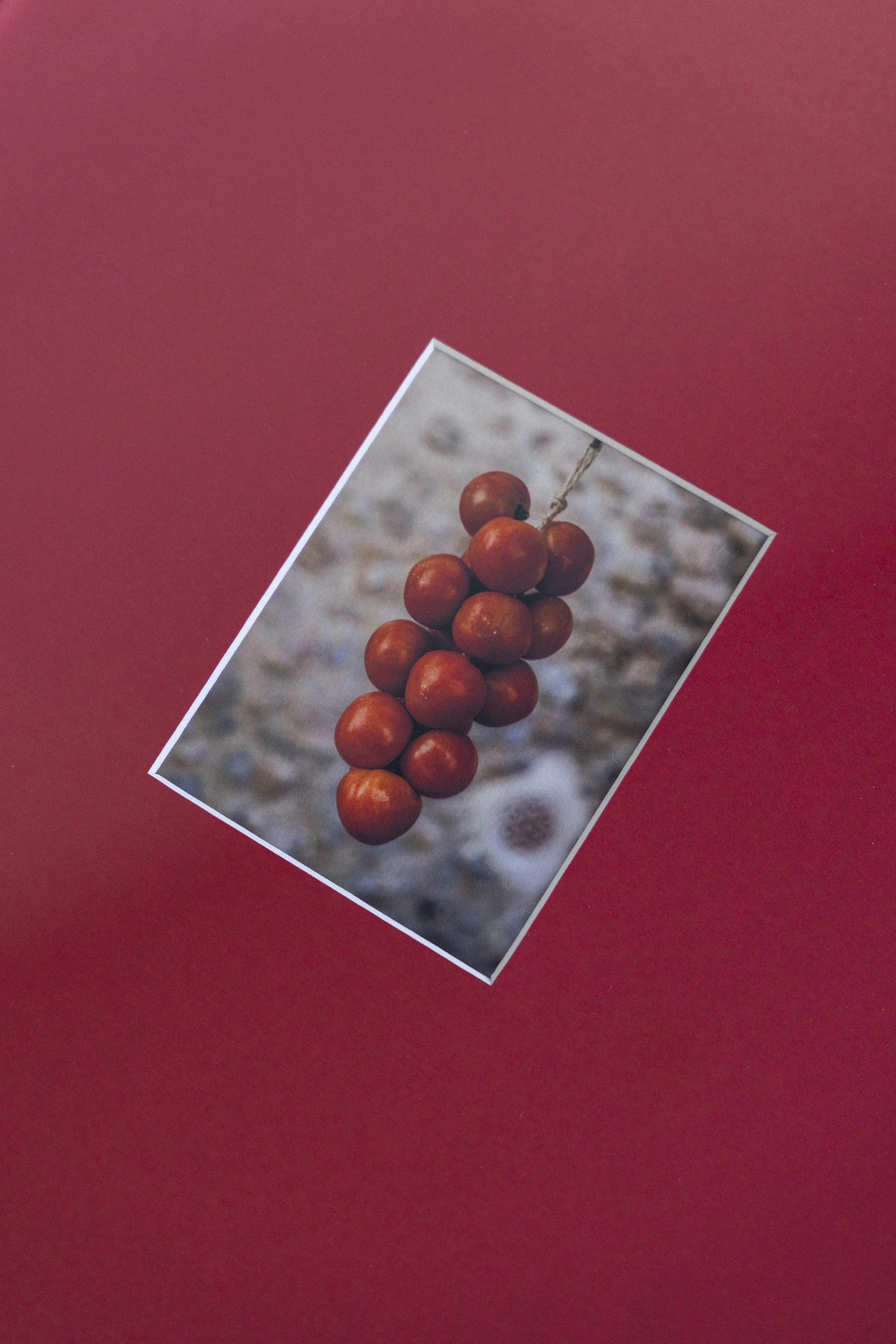 Coloured Mat Board Sydeny Prints _ Chad Konik-15.jpg (Copy)