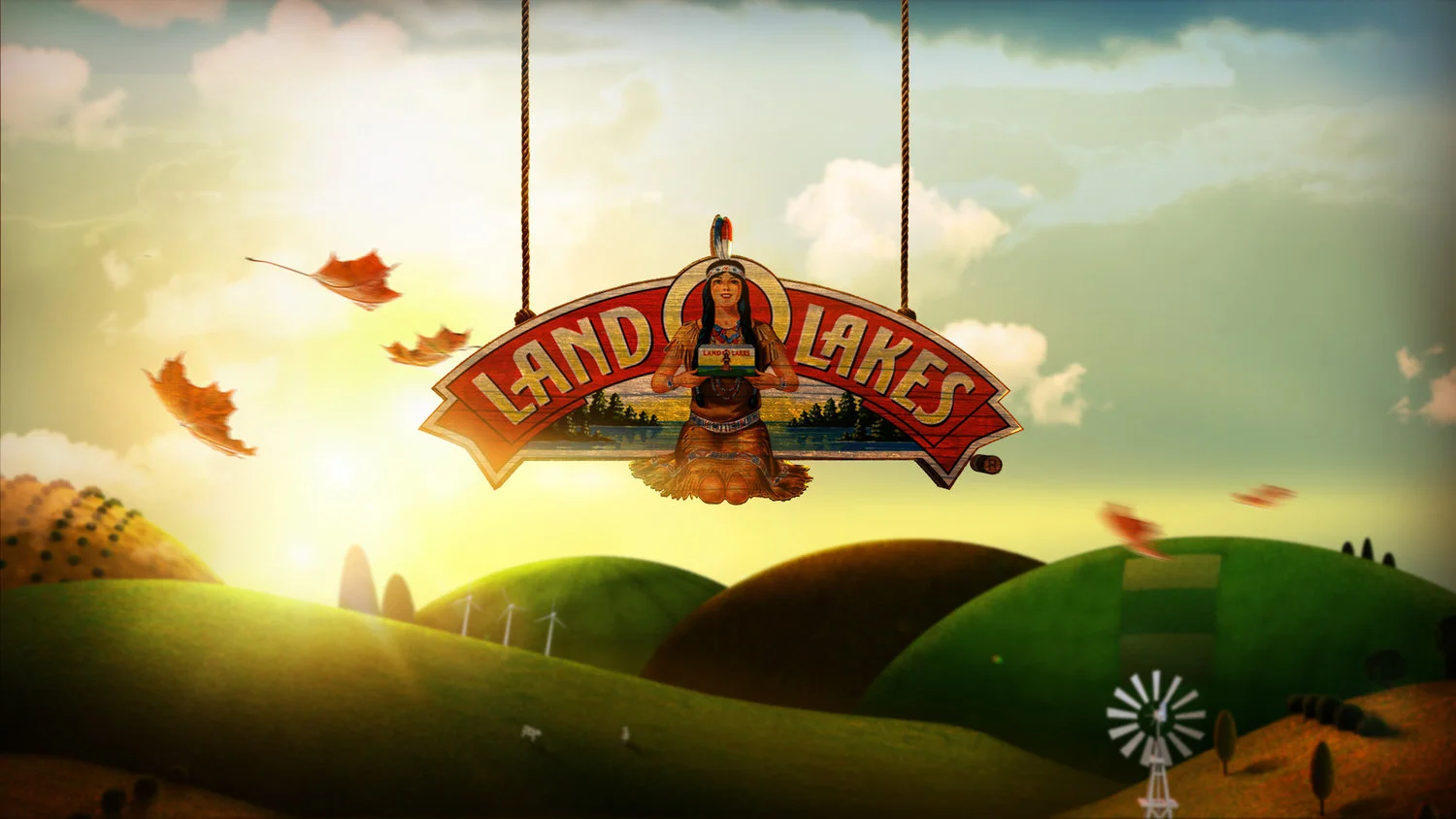Elastic_LandOlakes02.jpg