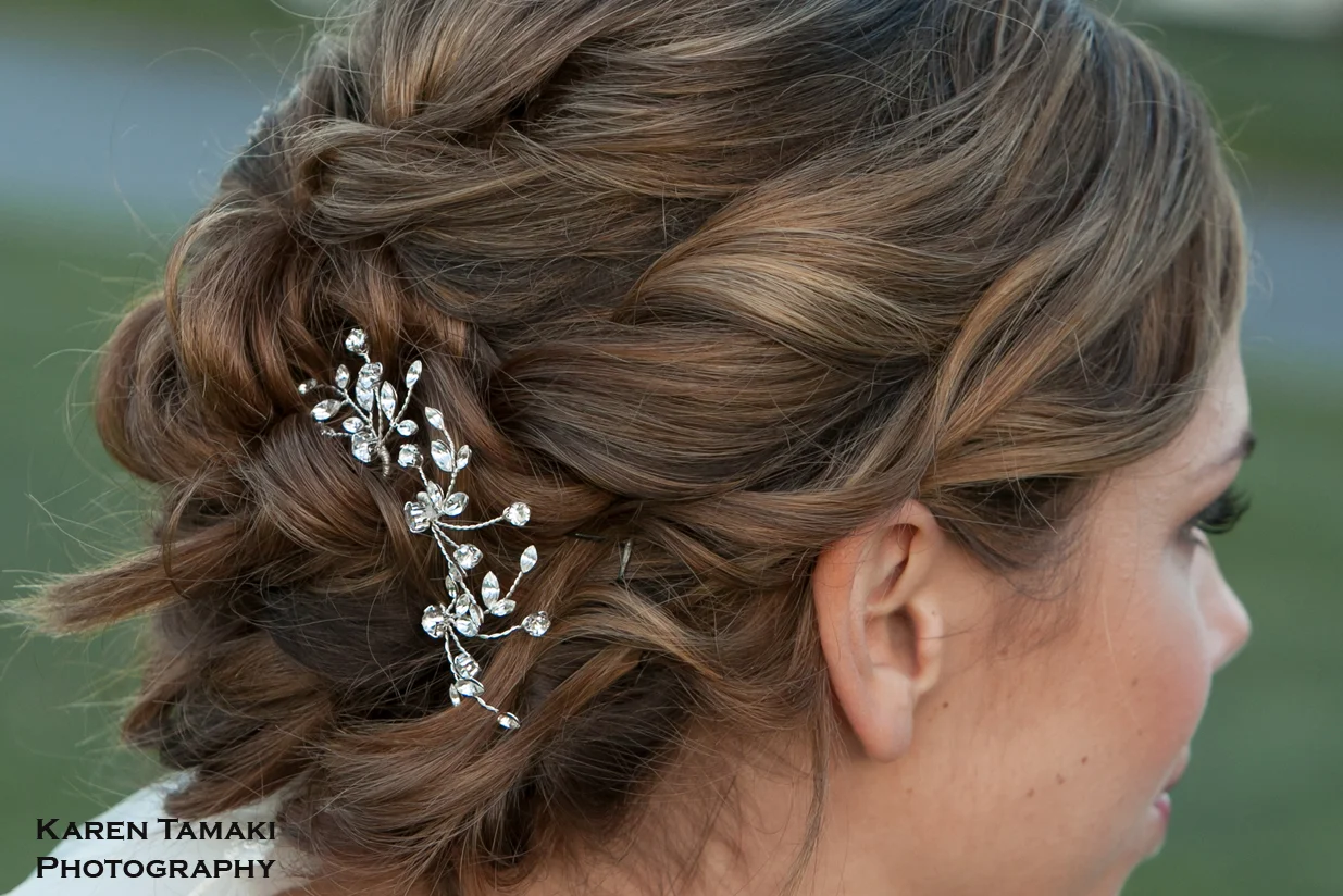 PaulaHairPinsWeb.jpg