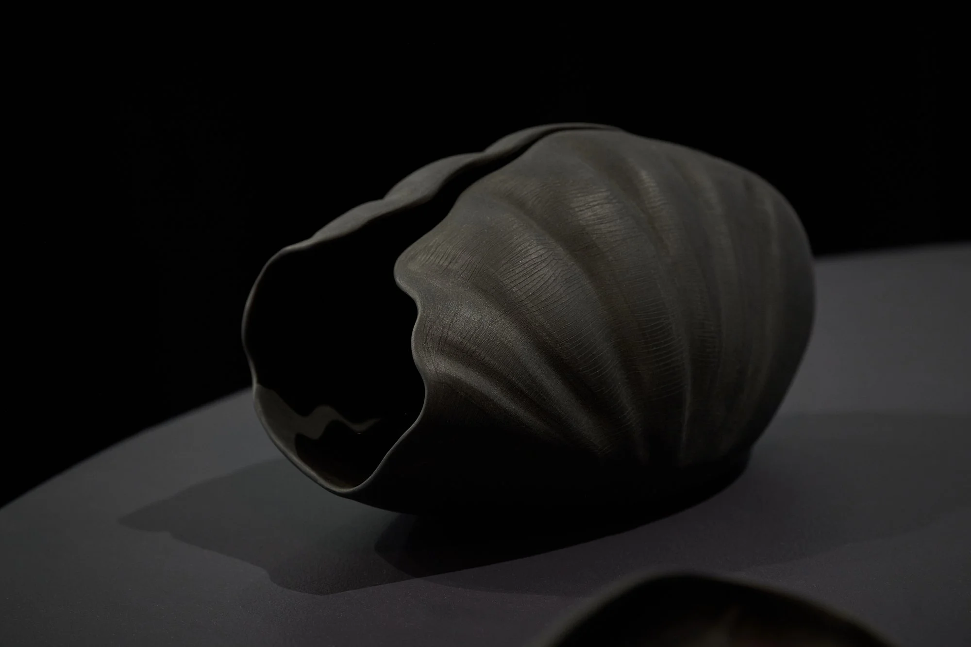 Giant Clam