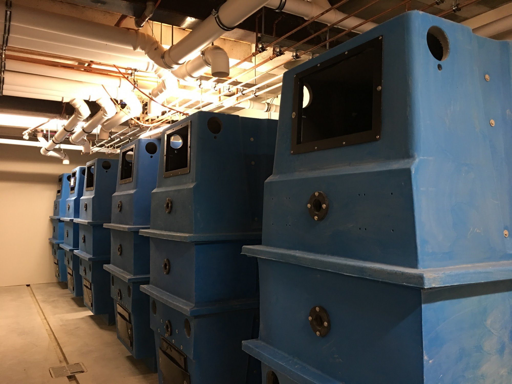 Camp-GY-composting-toilets-awaiting-installation-Oct2016.jpg