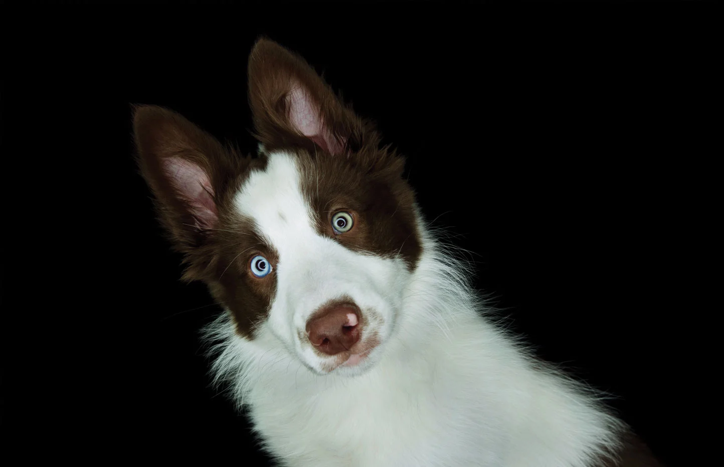 Hypnosis.