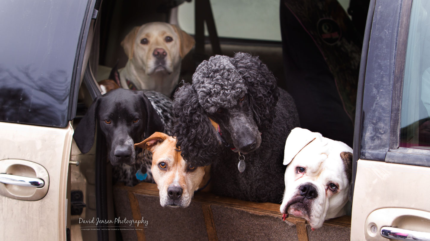 CarLoad.jpg