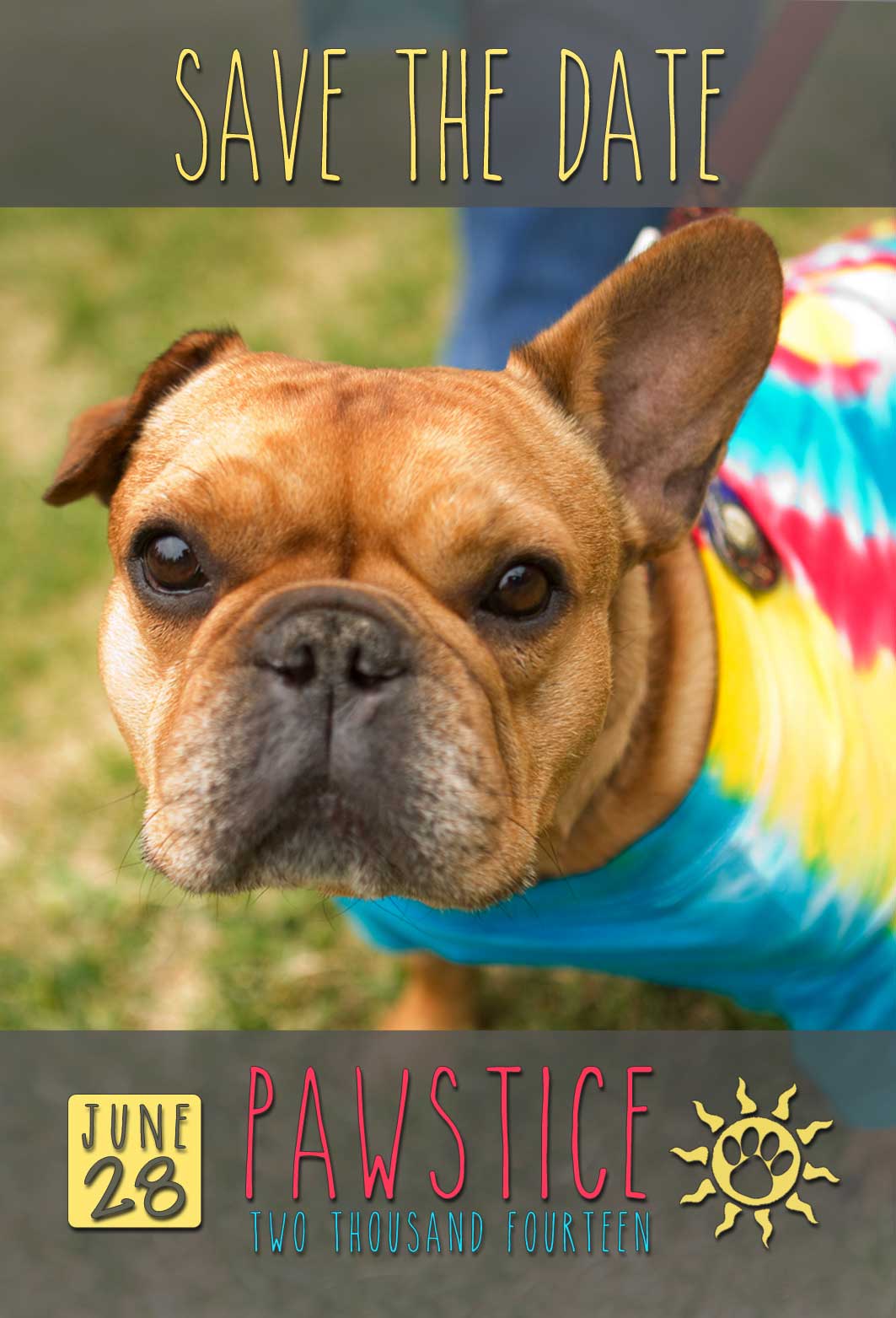 Norm - Mascot in memorium for Pawstice 2014.