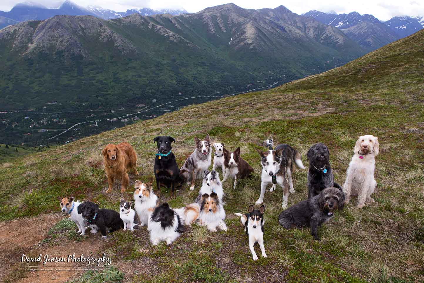 OurAlaska.jpg