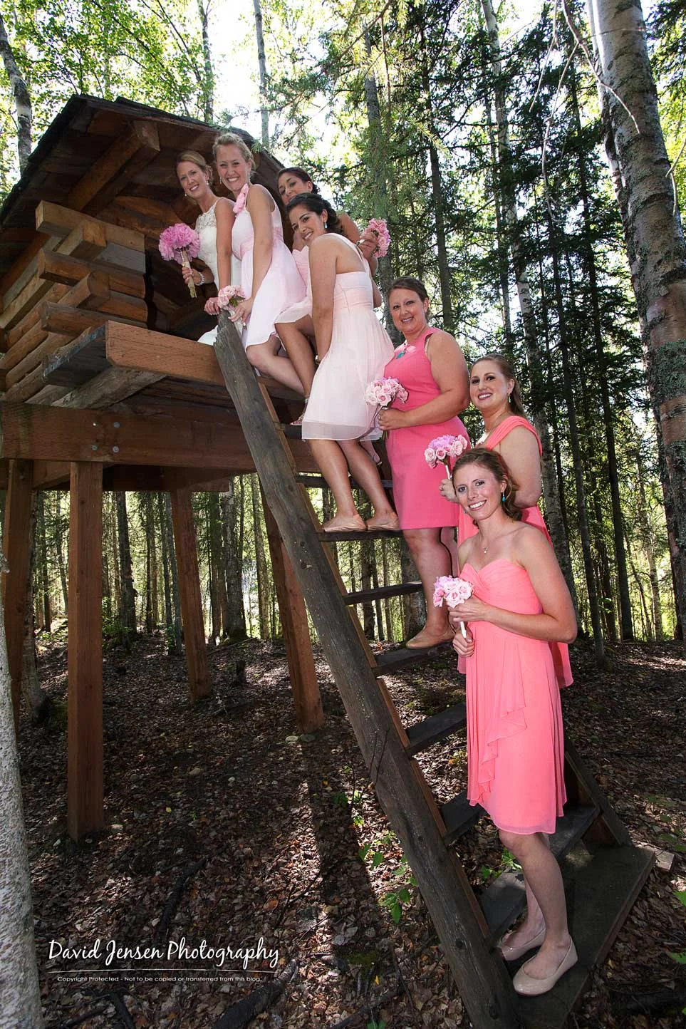CaseyTreeHouse.jpg