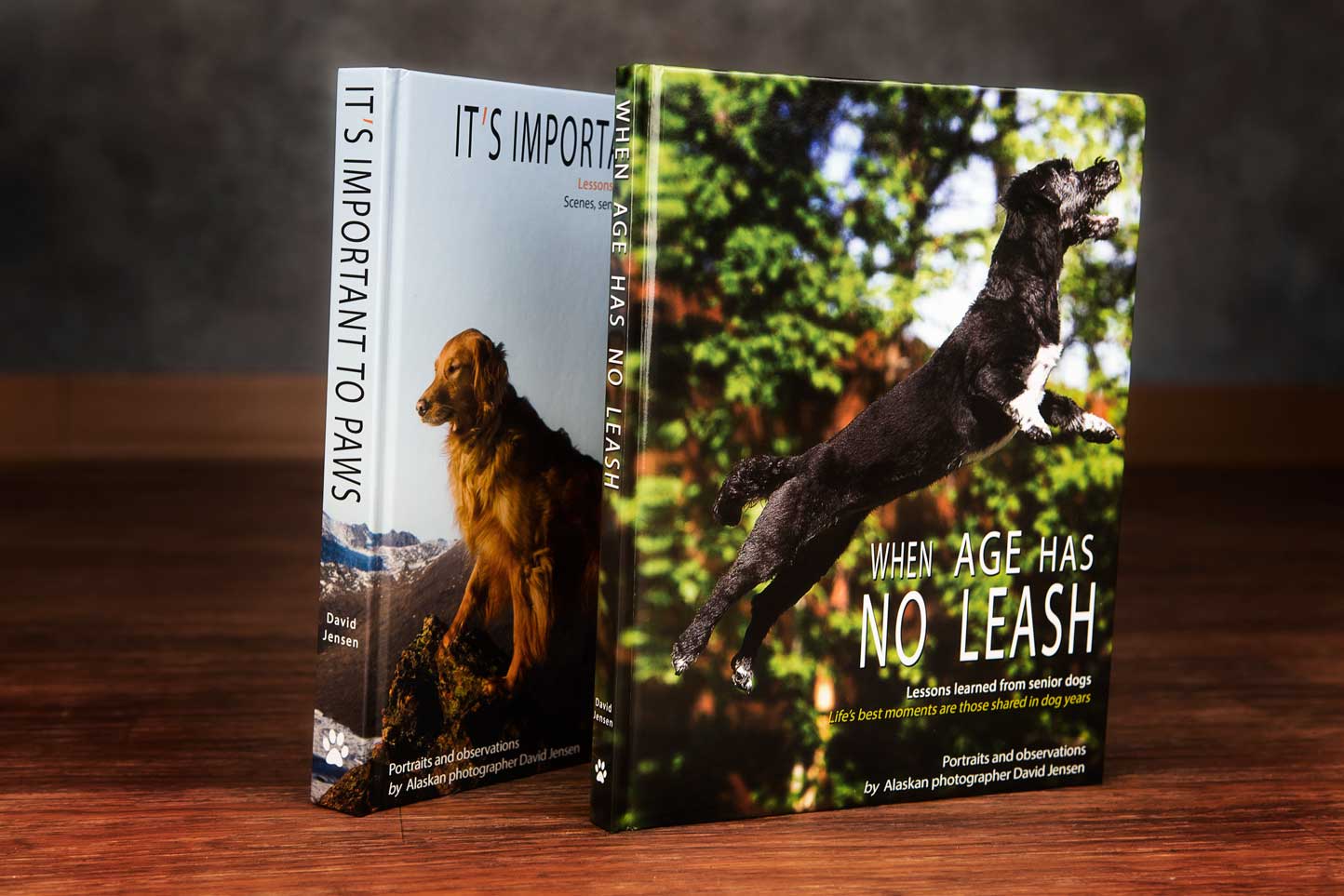 When Age Has No Leash - Lessons learned from senior dogs - a followup to our first book It's Important to Paws.