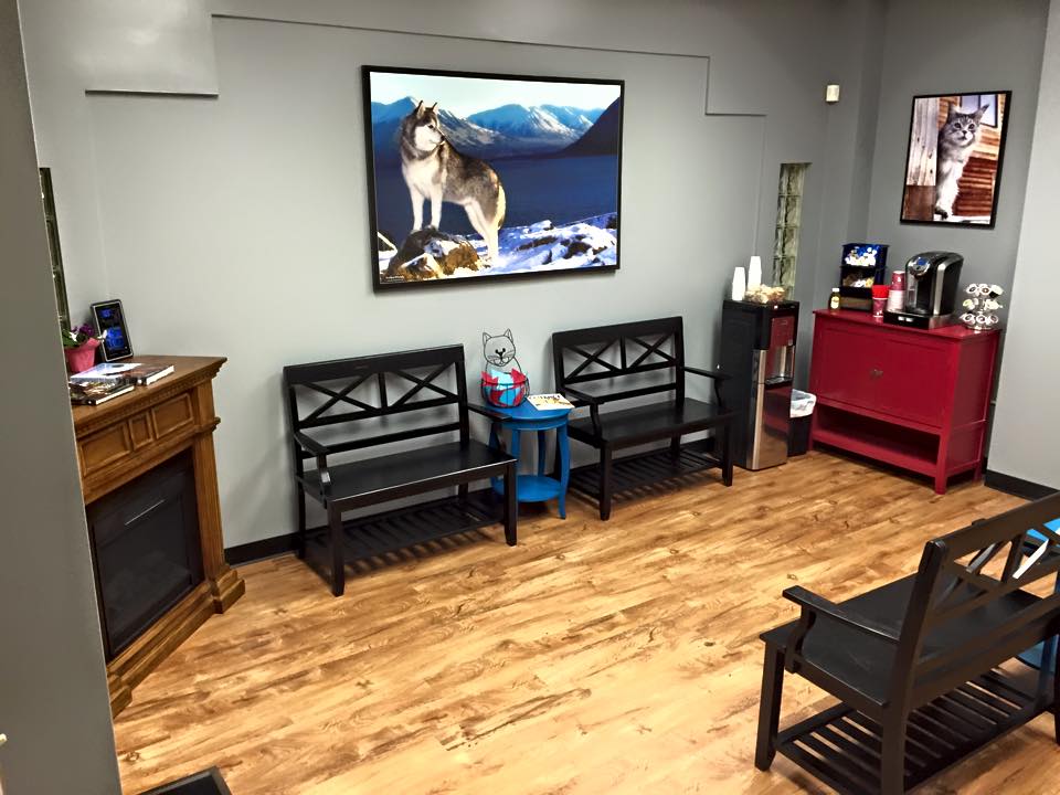 Front lobby of Alaska Affordable Veterinary Care - featuring 13+ year old "Diva."