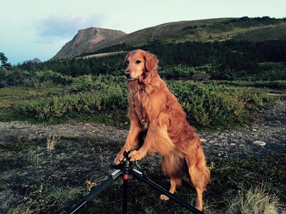 Layla posed at about 10 p.m. with Flat Top in the background as we began our wait for the Aurora Borealis. The lights started their dance at about 1 a.m.