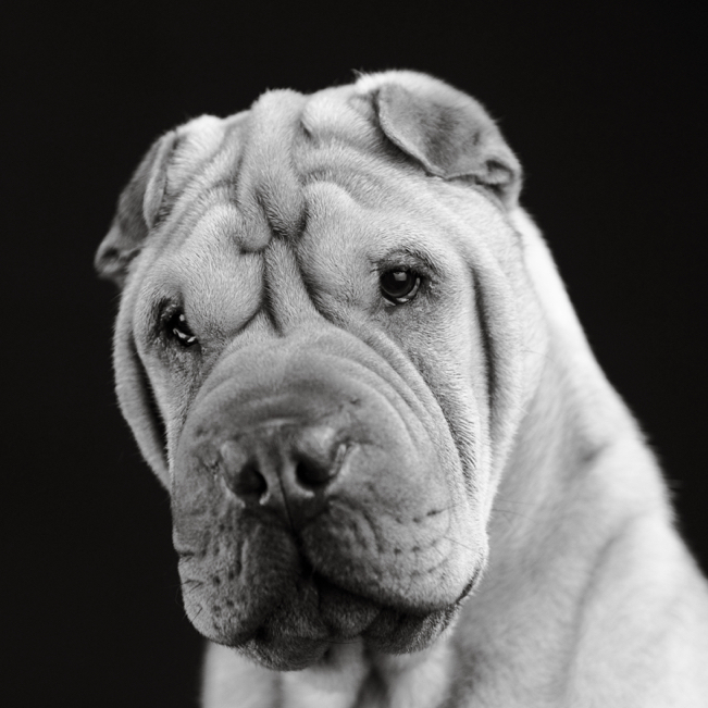 404 DJP13420Marsters_resize.jpg