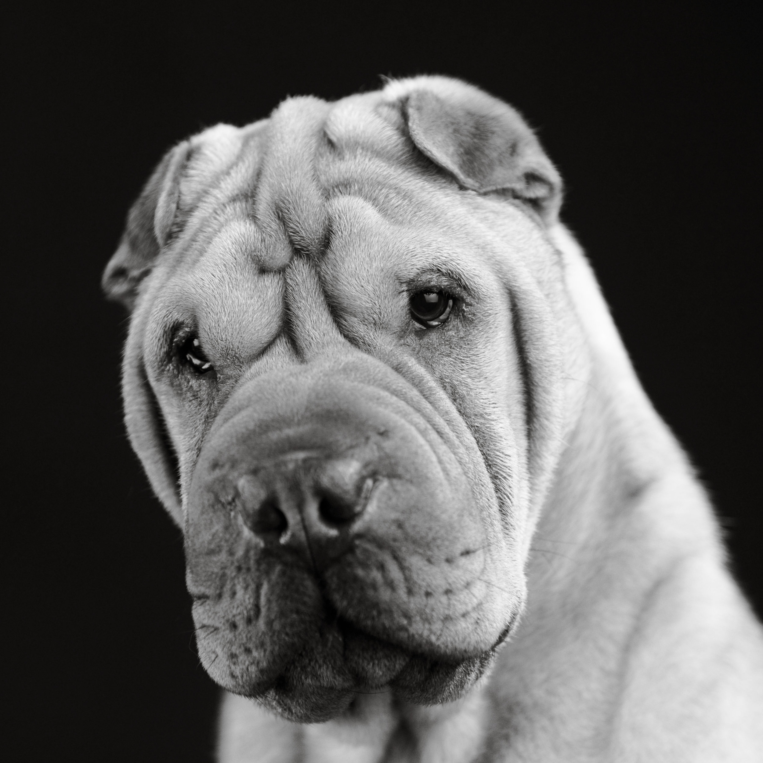 404 DJP13420Marsters.jpg