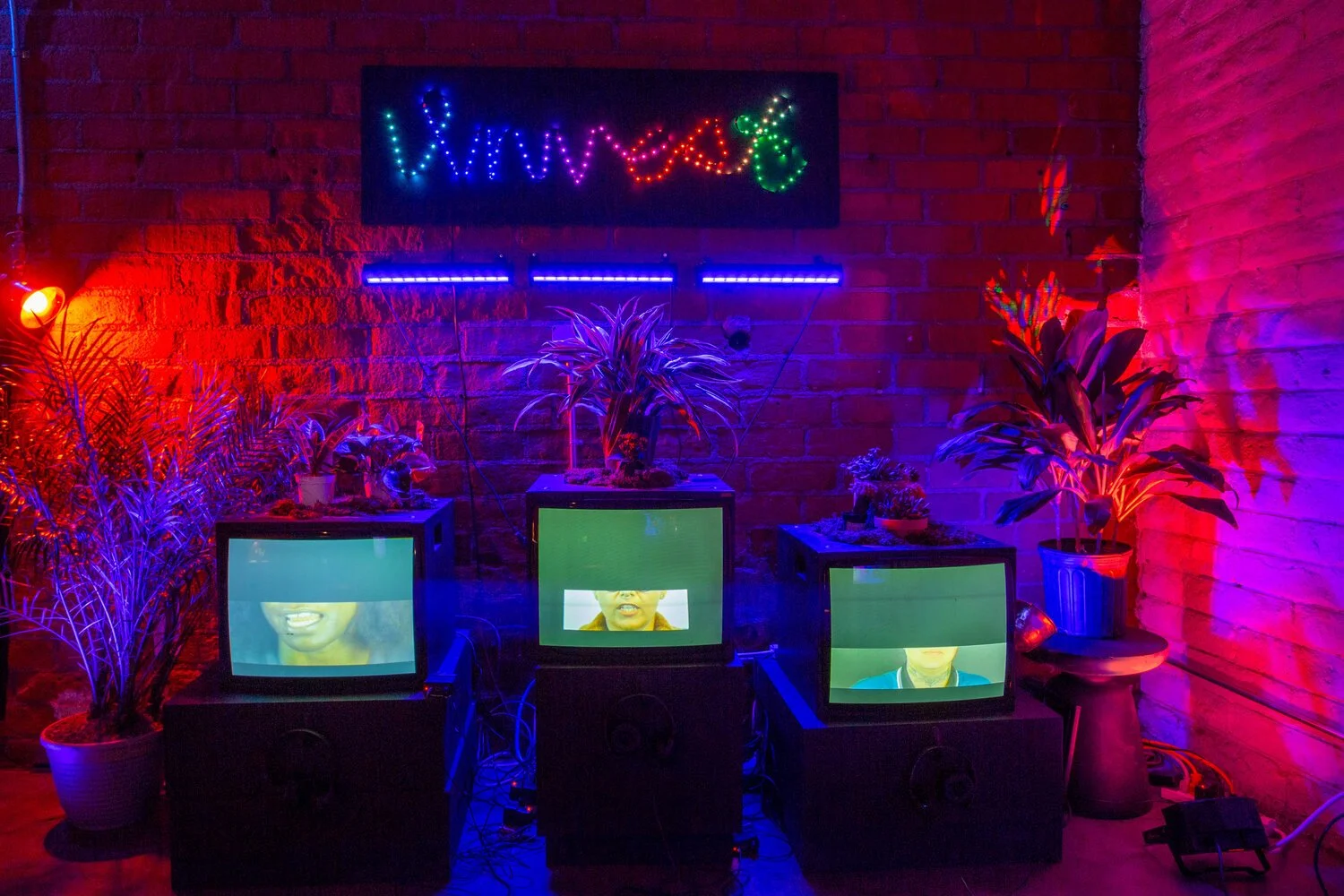 Sharmi_Coaxial-56 (1).jpeg